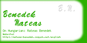 benedek mateas business card